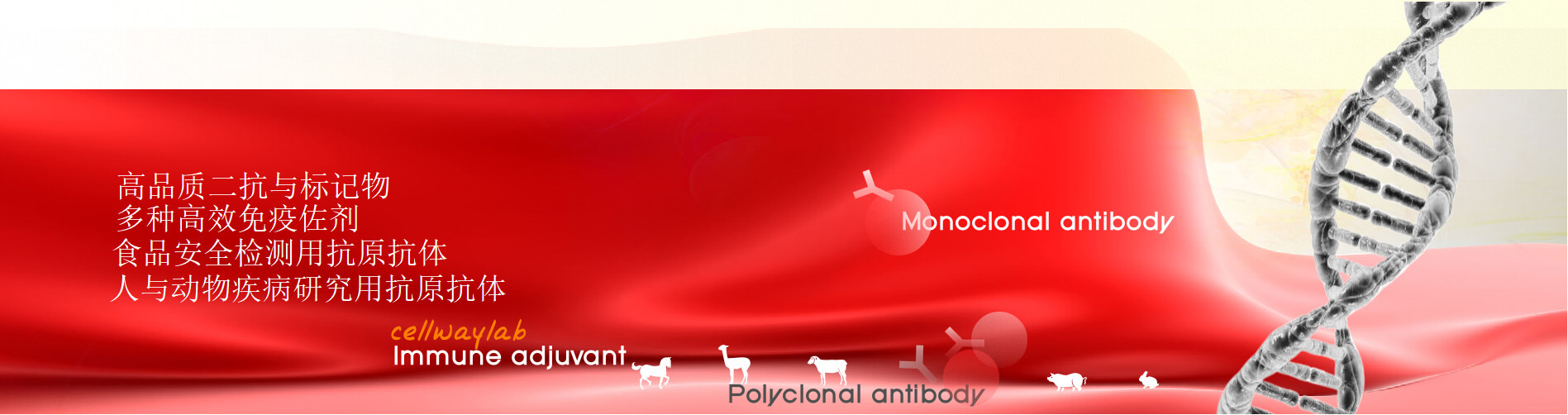 高品质的抗血清产品