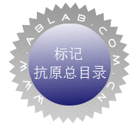 标记抗原总目录