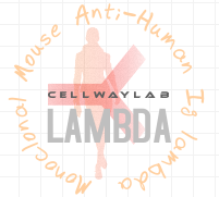 小鼠抗人Lambda