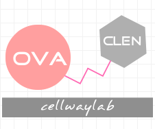 OVA-克伦特罗