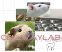 新型优质易乳化快速佐剂研发成功!