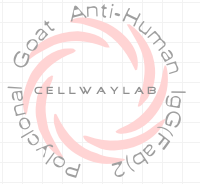 山羊抗人IgG F(ab)2