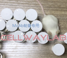 单抗腹水制备专用佐剂