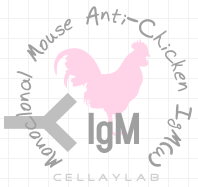小鼠抗鸡IgM(u)