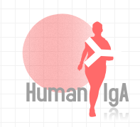 Human IgA（重组表达）