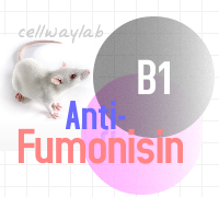小鼠抗伏马菌素B1
