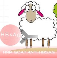 HRP标记山羊抗HBSAg