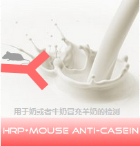 HRP小鼠抗牛酪蛋白