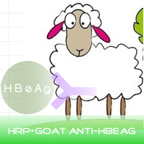 HRP标记山羊抗HBeAg