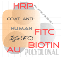 标记山羊抗人IgG(FC)