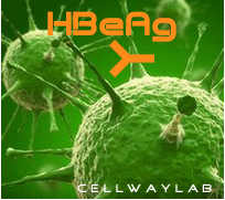 HBeAg（重组乙肝e抗原）