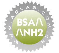 BSA/\/\NH2(氨基化BSA-3碳链)