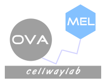 OVA-MEL（鸡卵清蛋白-三聚氰胺）