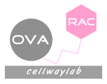 OVA-RAC (鸡卵清蛋白-莱克多巴胺）