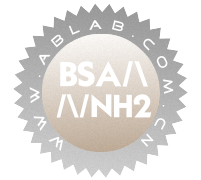 BSA/\/\/NH2(氨基化BSA-4碳链)