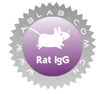 Rat  IgG (大鼠IgG)