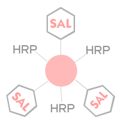 HRP-SAL(辣根酶标记沙丁胺醇）