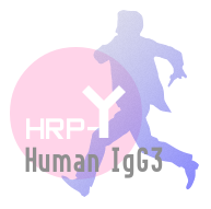 HRP-Human IgG3(HRP-人IgG3）