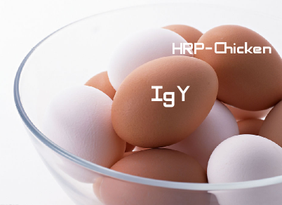 HRP-Chicken IgY(HRP-鸡IgY)