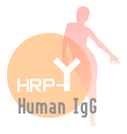 HRP-Human IgG（HRP-人IgG）