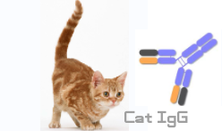 HRP-Cat IgG（辣根酶标记猫 IgG）