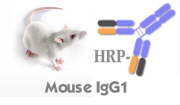 HRP-Mouse IgG1(辣根酶标记小鼠IgG1)