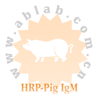 HRP-Pig IgM（辣根酶标记猪IgM）
