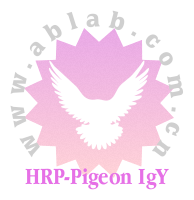 HRP-Pigeon IgY（辣根酶标记鸽子 IgY）