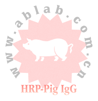HRP-Pig IgG（辣根酶标记猪IgG）
