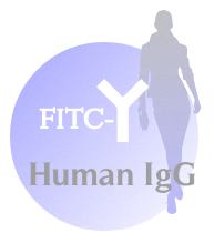 FITC-Human  IgG（FITC标记人IgG）