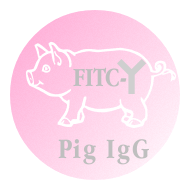 FITC-Pig IgG（FITC标记猪IgG）