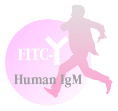 FITC-Human  IgM（FITC标记人IgM）