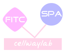 FITC-SPA（FITC标记SPA）